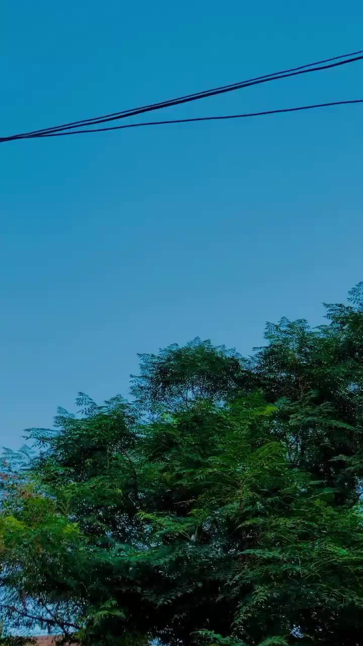 @🍷خان بادشاہ۳۱۳⚜️