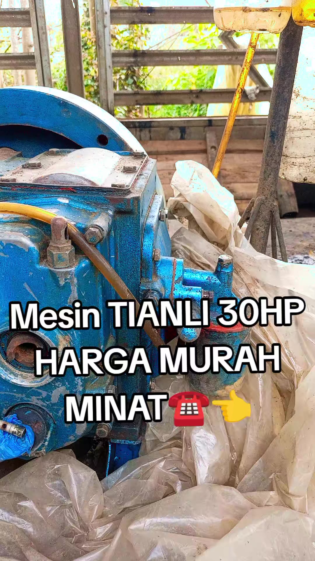 @WANDA DIESEL