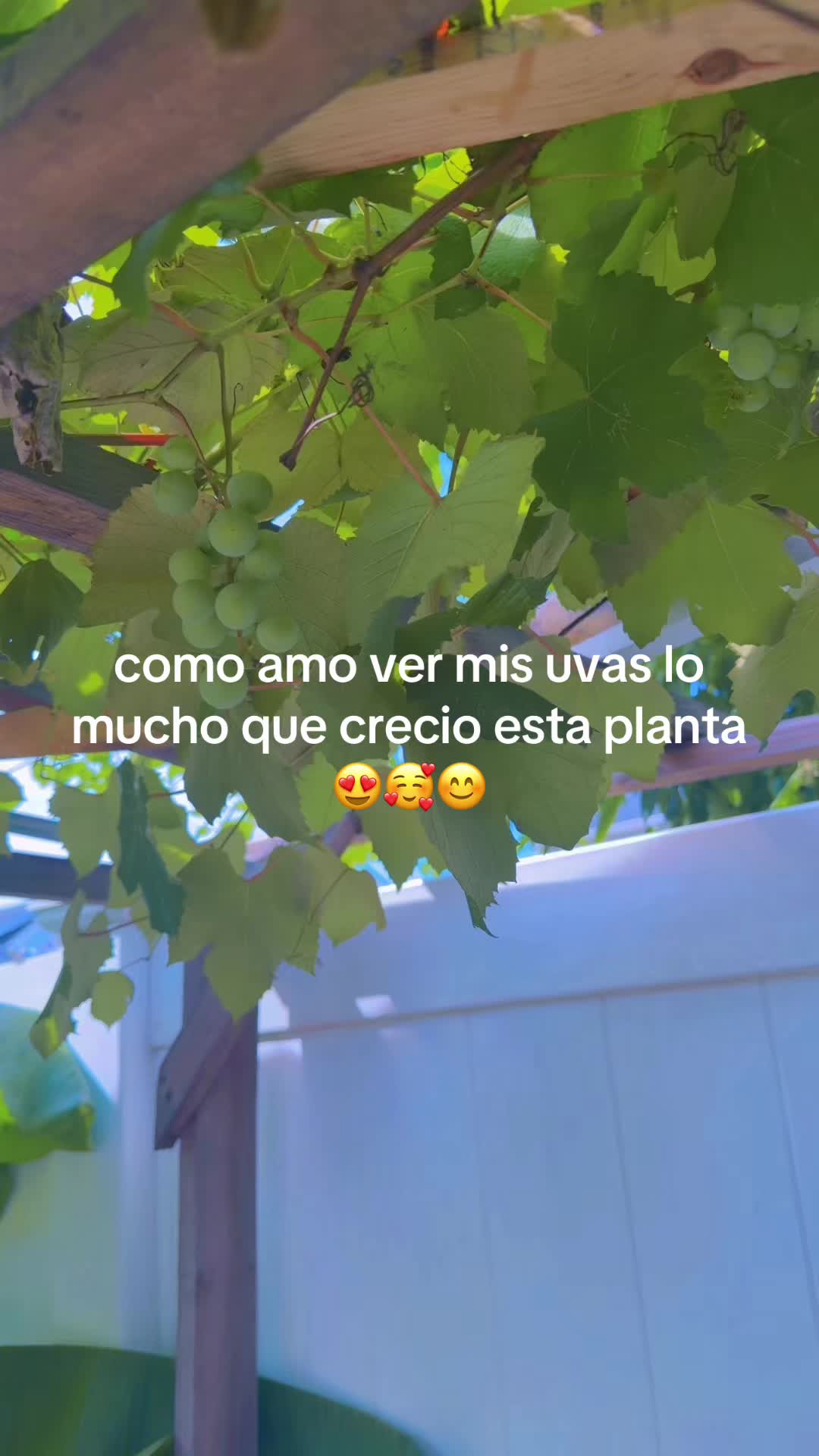 @Margarita Valdez