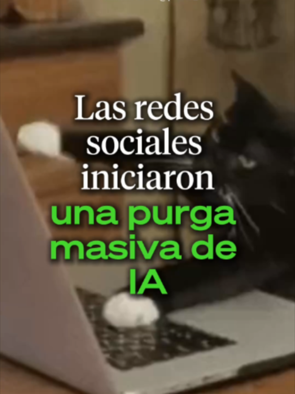 @Ahora Entiendo