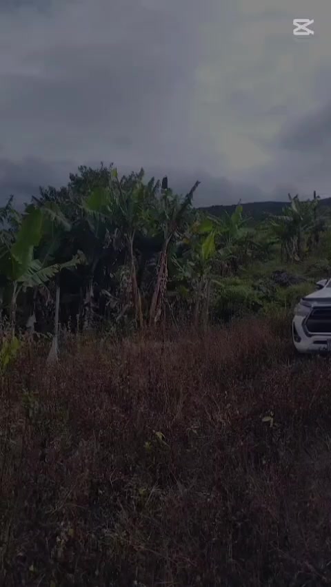 @Carmen Huayama