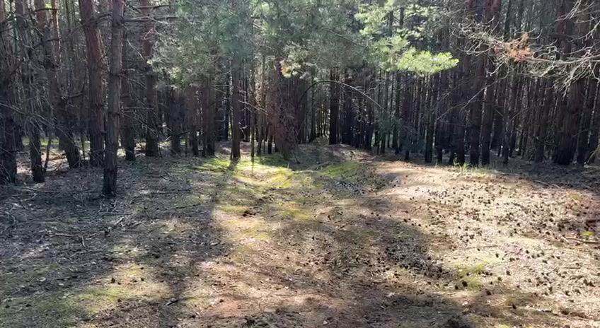 @ШедевроАртём