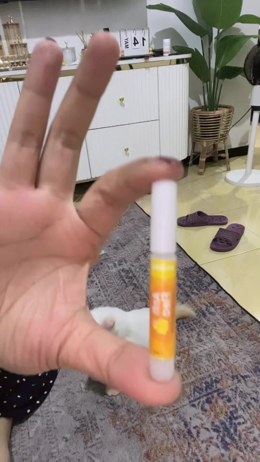 @𝓝 𝓲 𝓽 𝓪 ²⁹.ժׁׅ݊ꫀׁׅܻᝯׁ 🍑