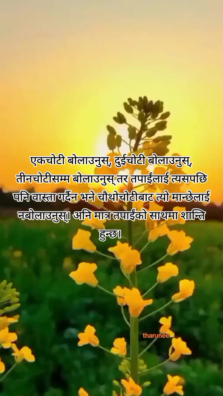@❤️🩹❶❶:❶❶❤️🩹(थरुनी)