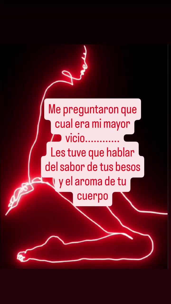 @el panda solitario