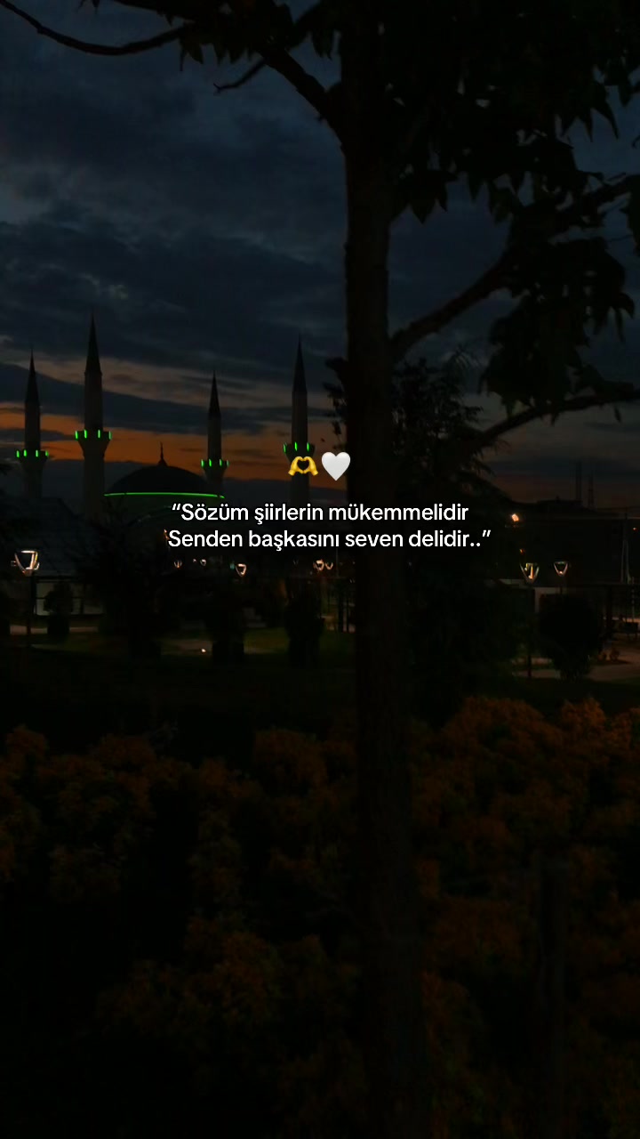 @𝑩&uuml;𝒏𝒚𝒂𝒎𝒊𝒏⚡️