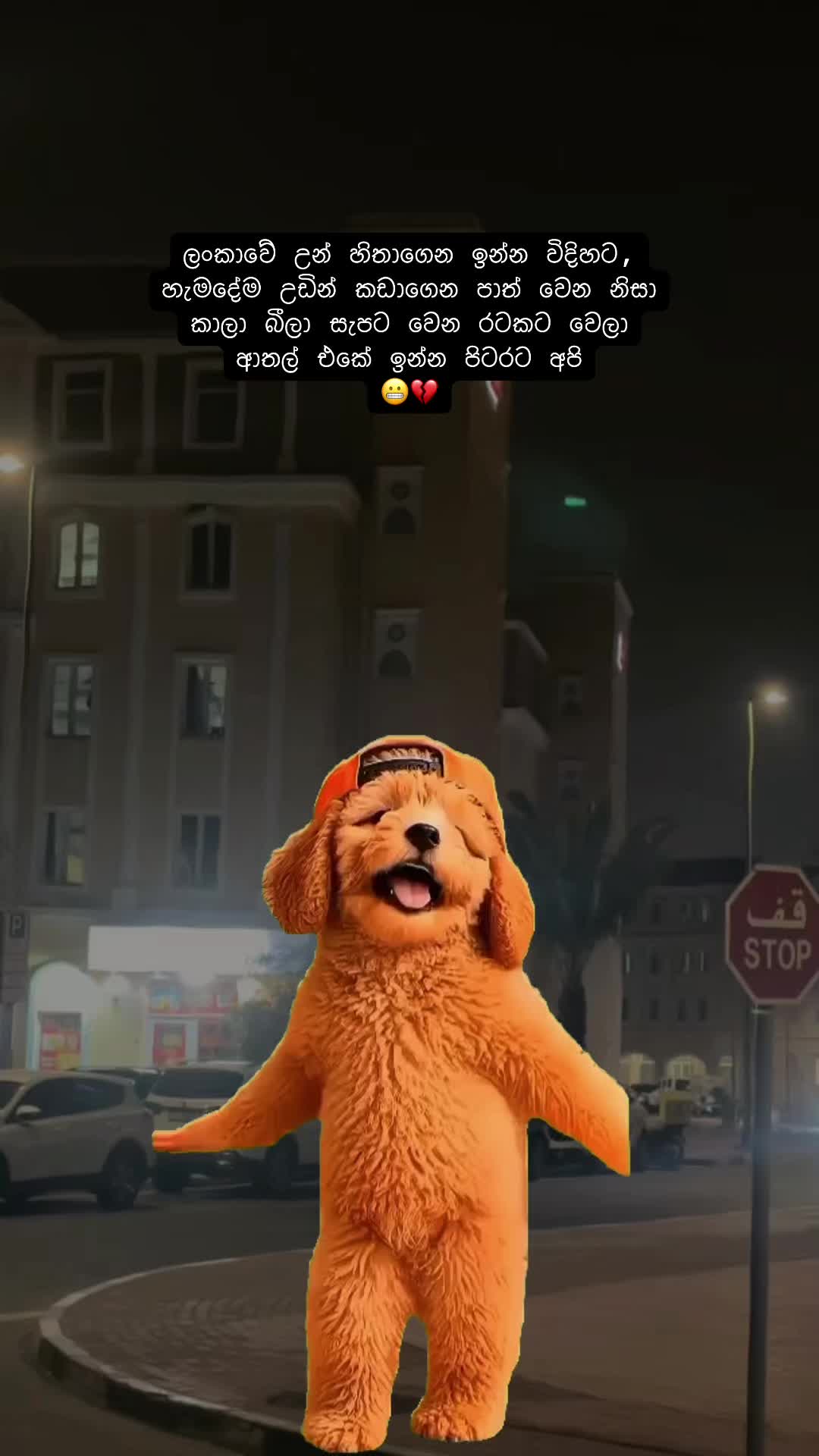 @🇱🇰 චමුවා 🇦🇪
