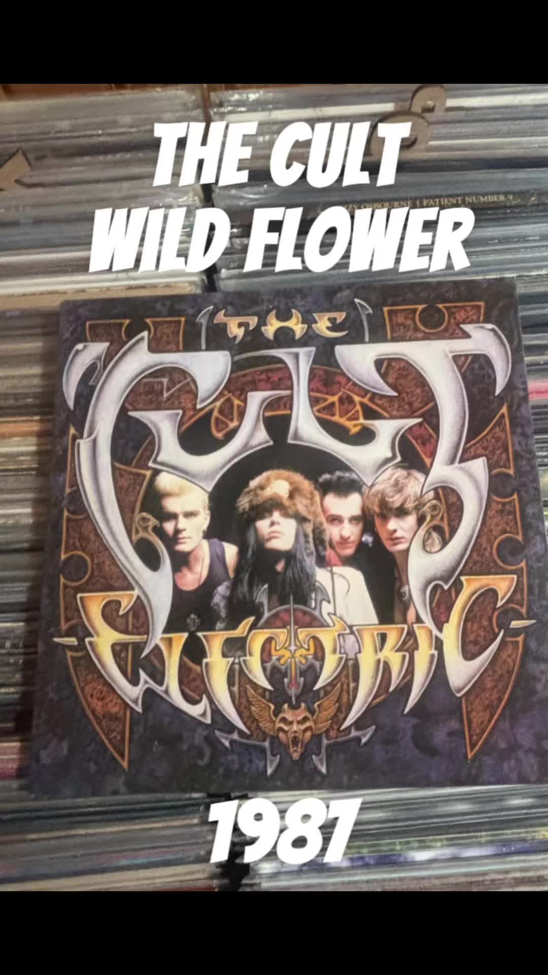 @TateCountyRocker❌