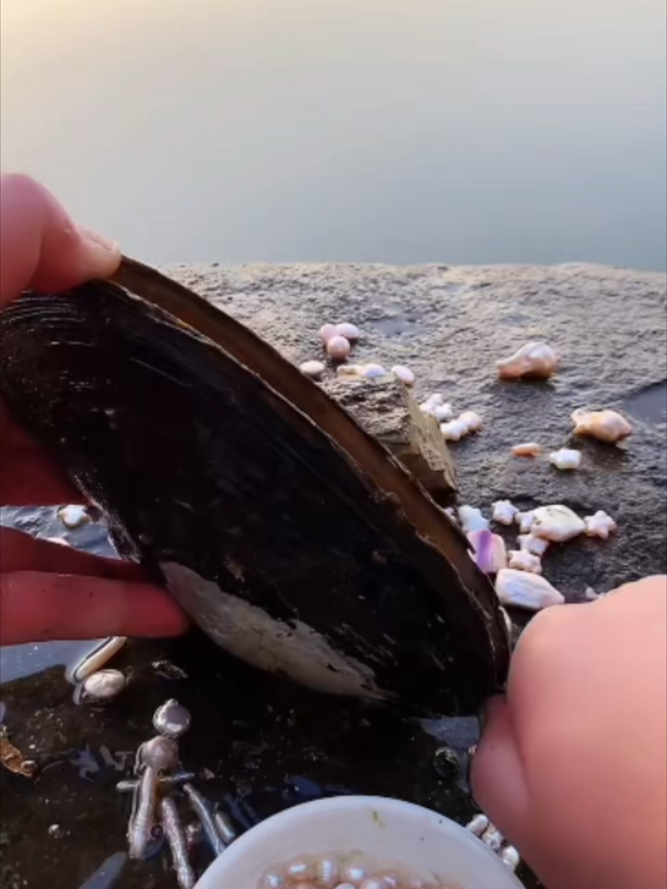 @Jewel Enigma