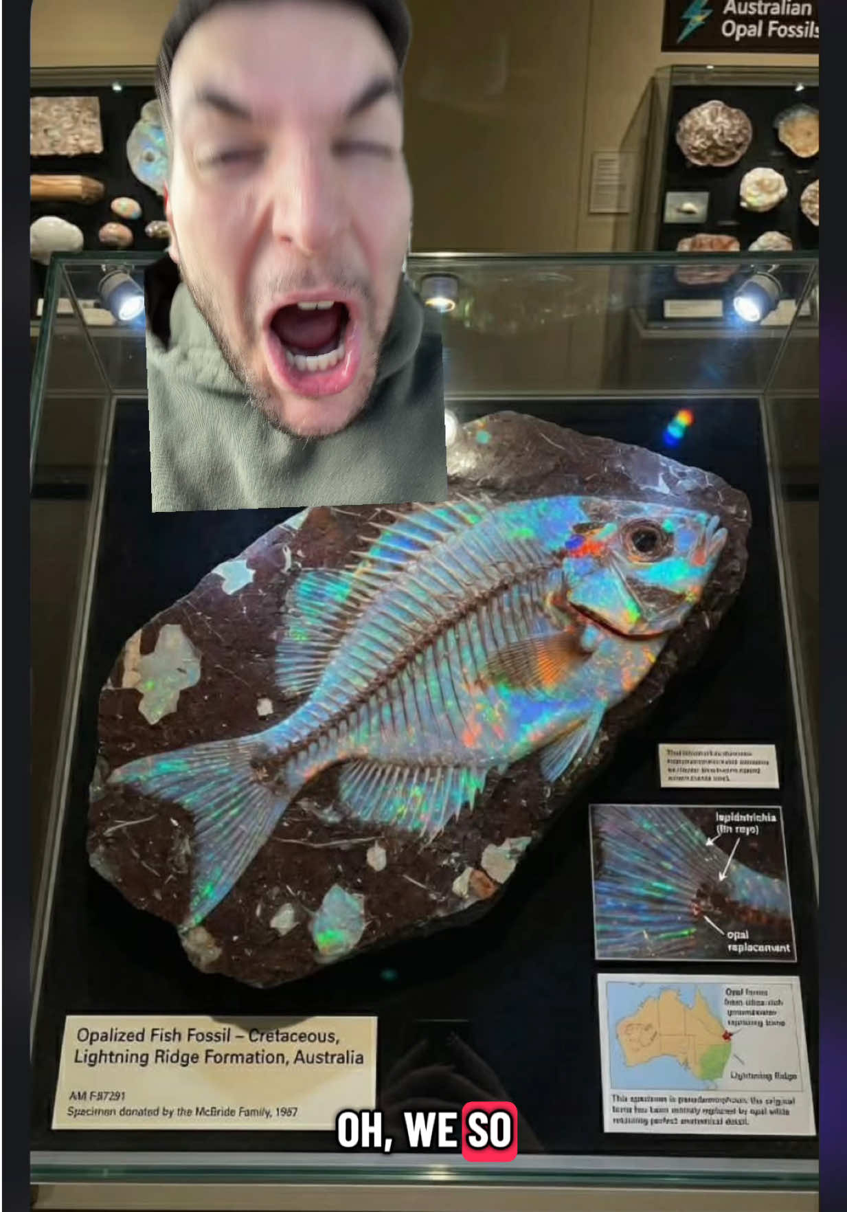 @Jake 💎