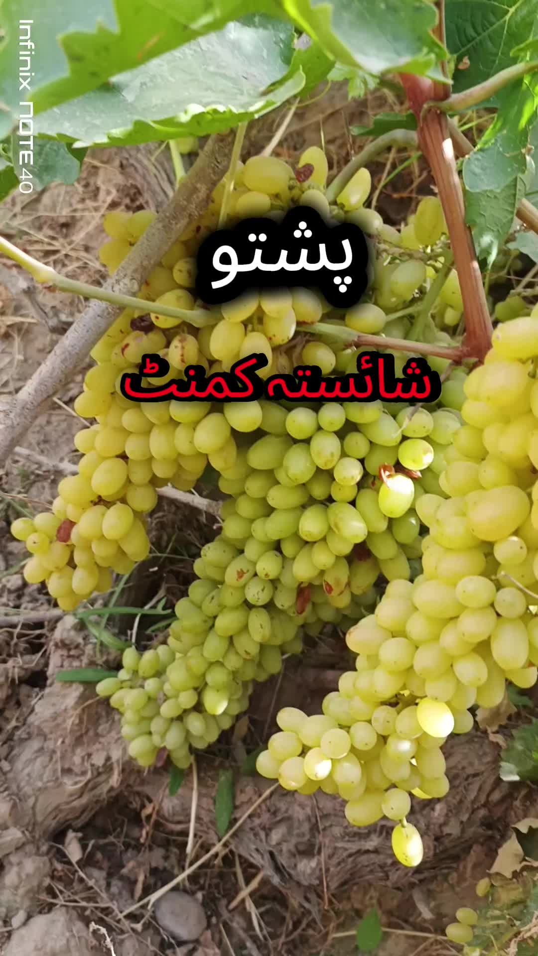 @saeed kakar 12345