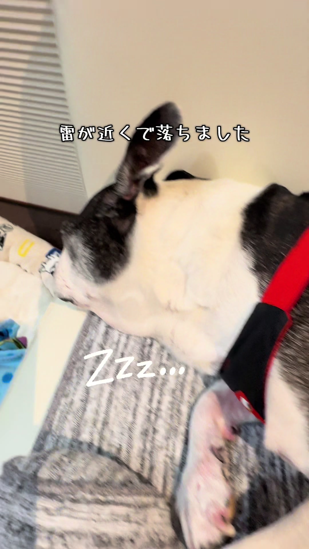 @Bunta