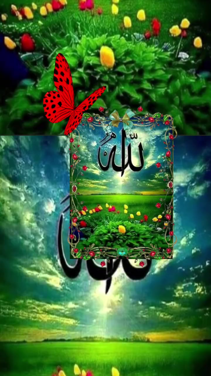 @🇳🇵🇸🇦MD MANSUR 786🇳🇵🇸🇦