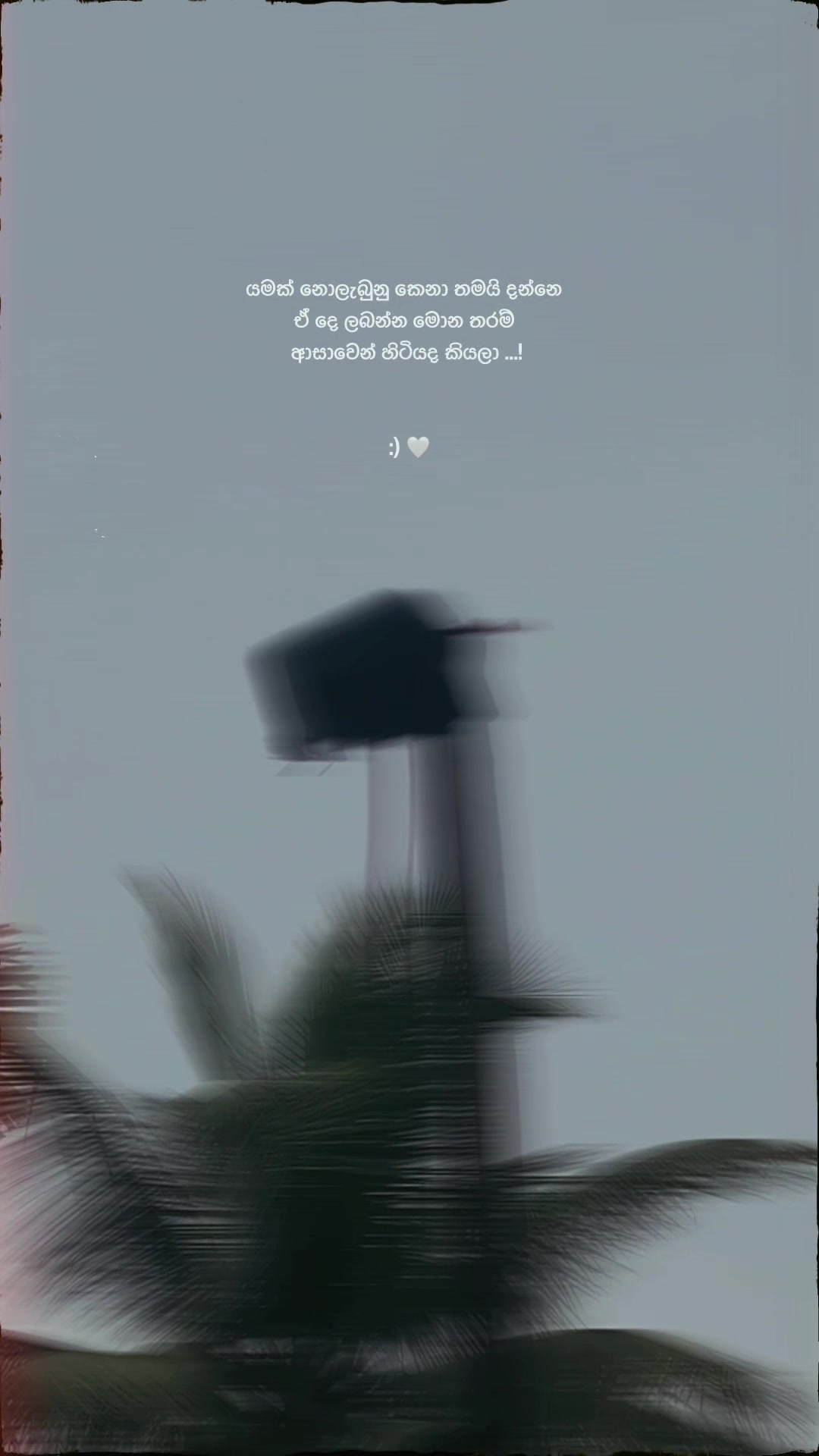 @𝑴𝑨𝑳𝑰𝒀𝑨 𝑸𝑼𝑶𝑻𝑬𝑺 🧸❕