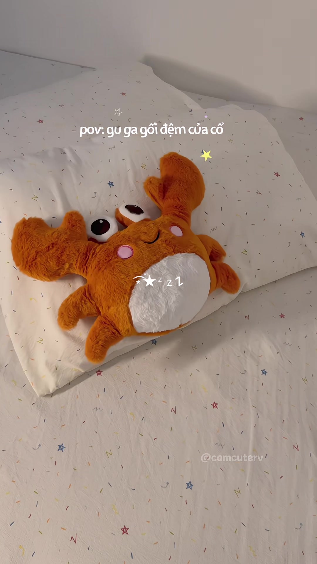 @Cam 𑣲⋆