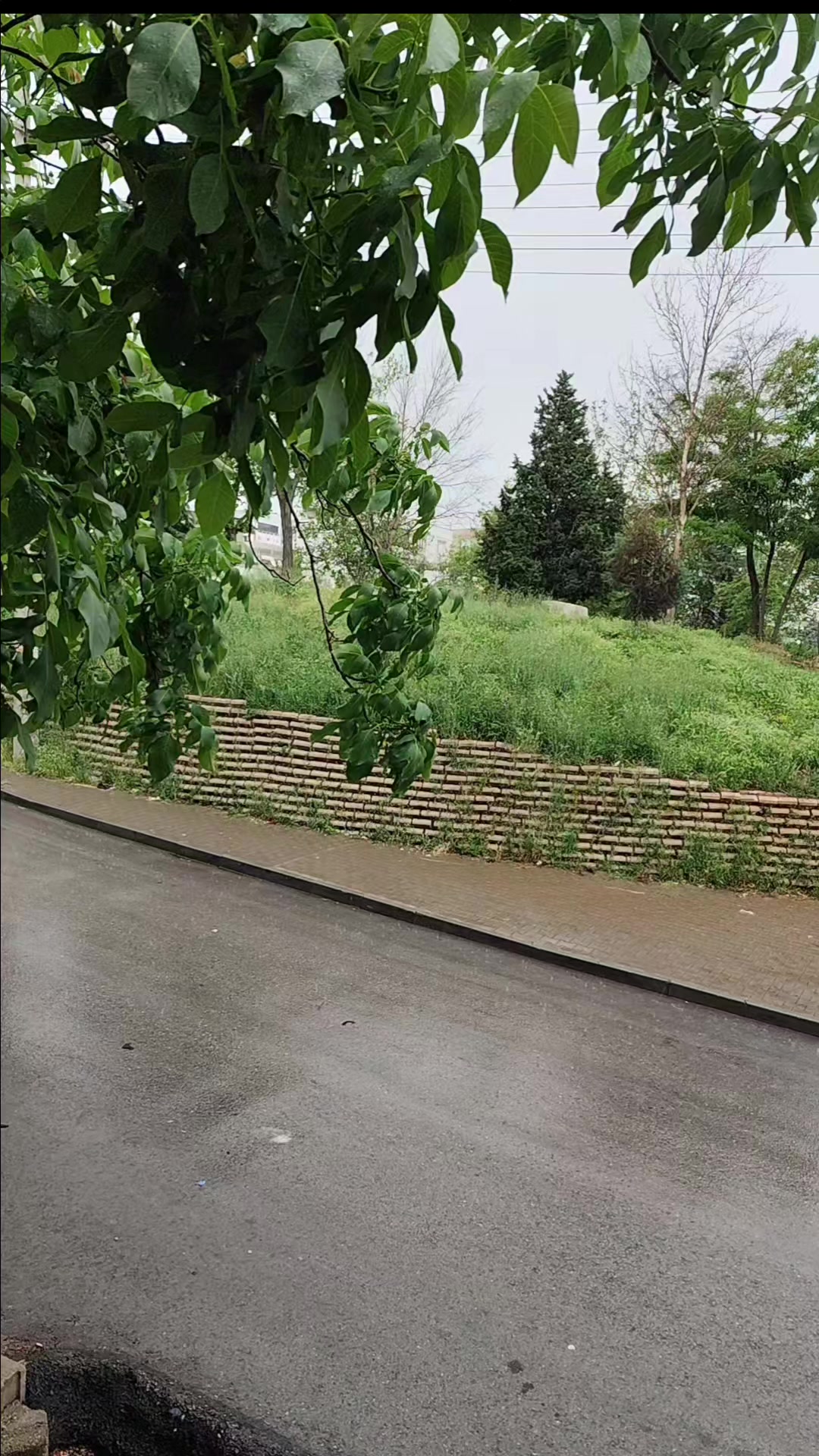 @gülbahar.27