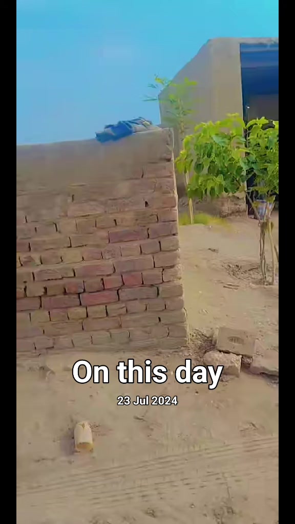 @Safa Baloch