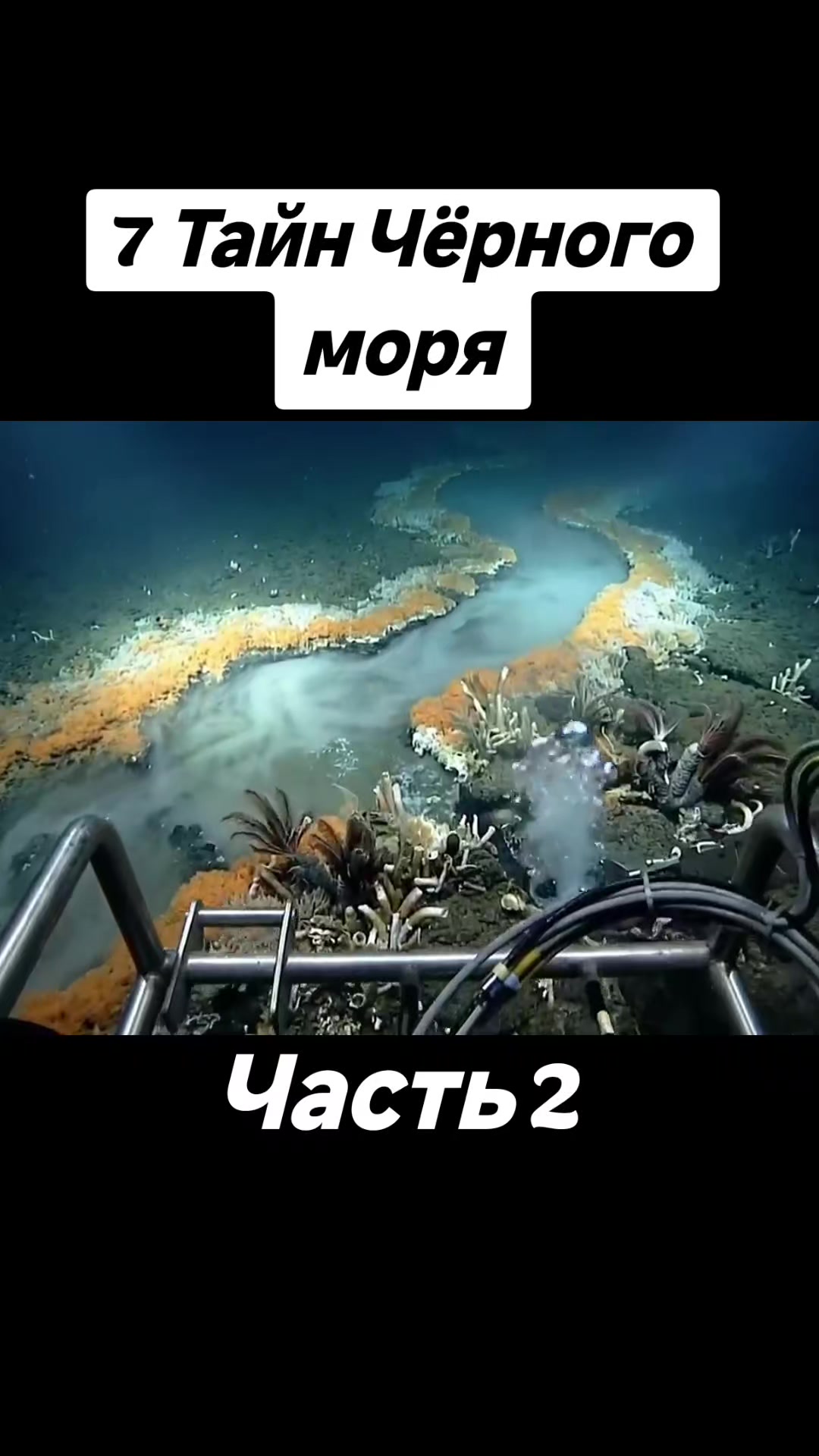 @🇷🇺НЕКСУС🇷🇺