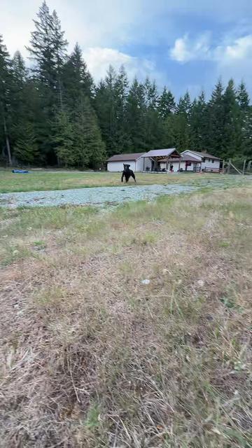 @Vancouver island artist