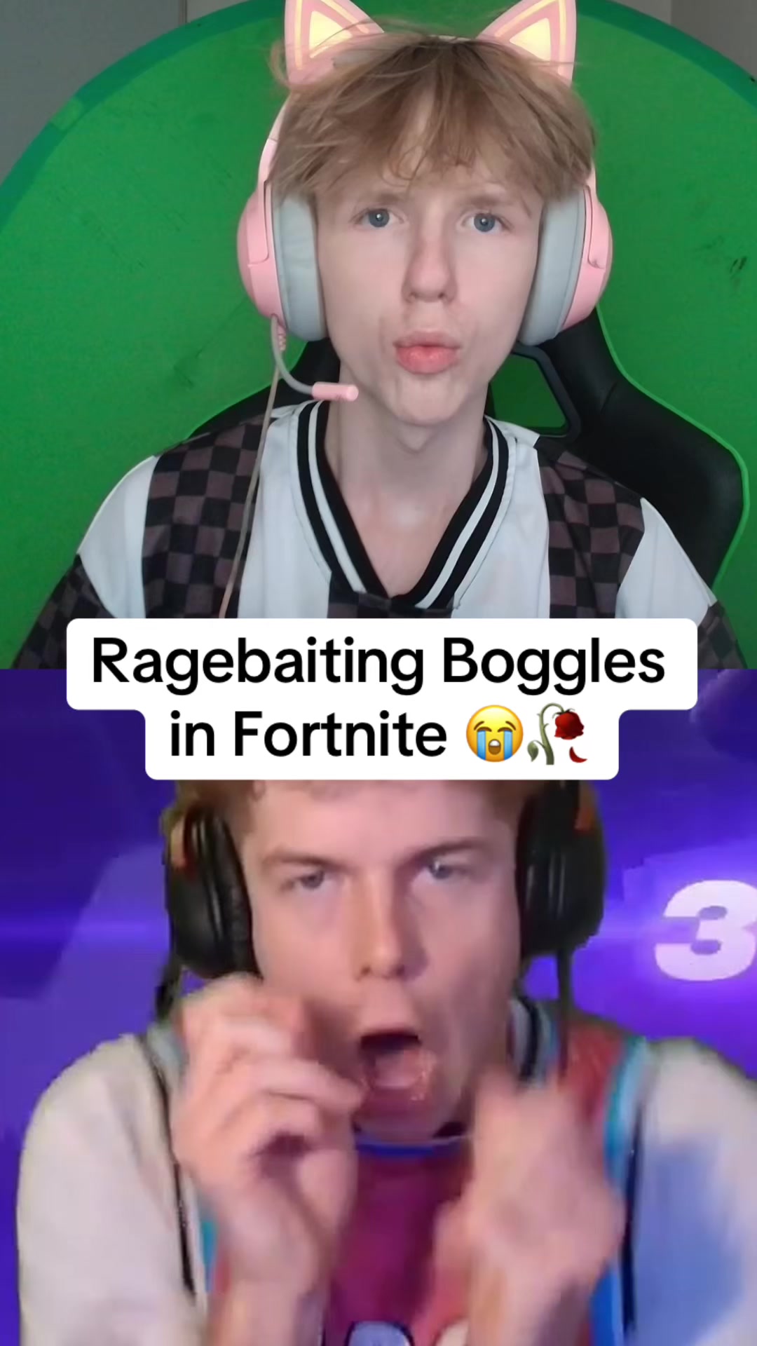 @Tiddles
