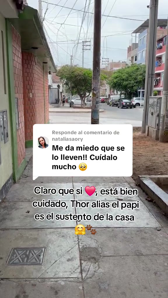 @Thor y Linda 🐾🐕❤️