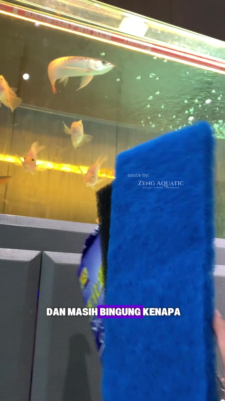 @Zeng Aquatic Indonesia