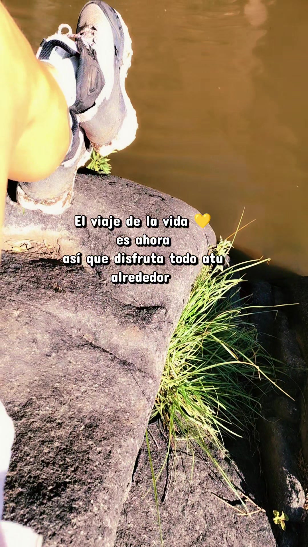 @Nochipa