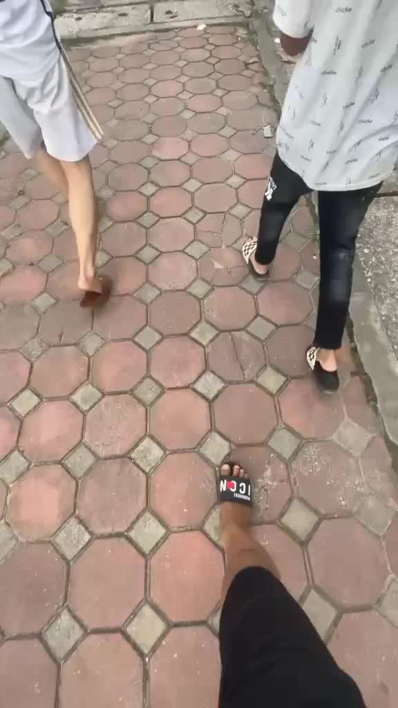 @đông xd