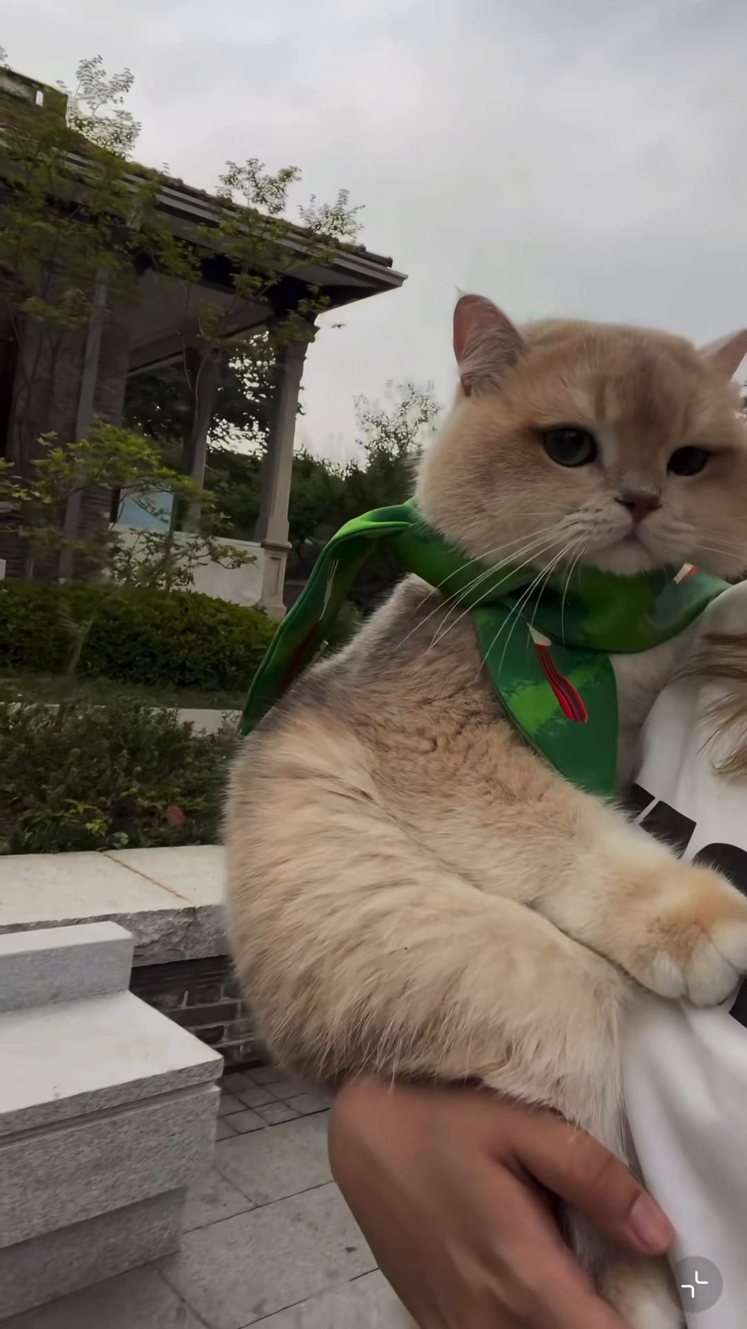 @My Daily Dose of Aww