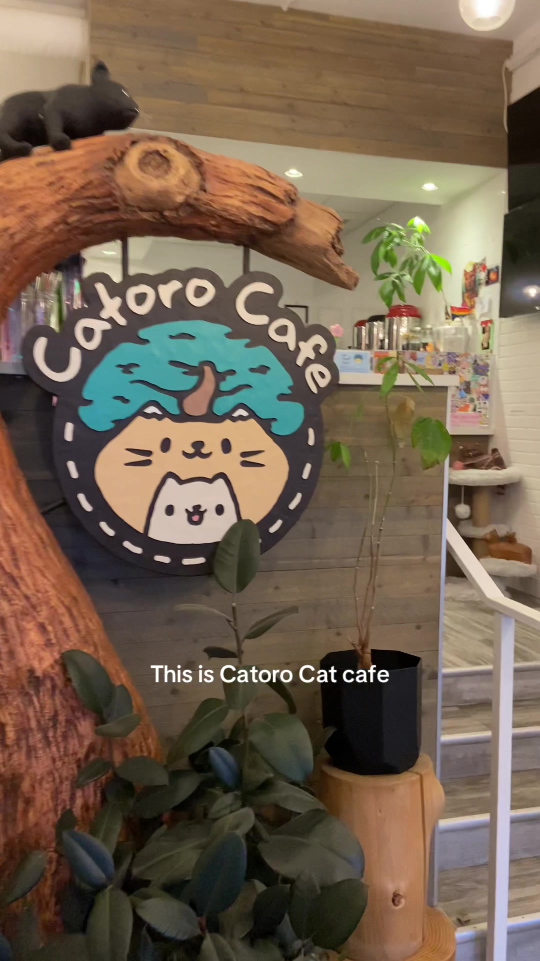 @Catoro Cat Cafe