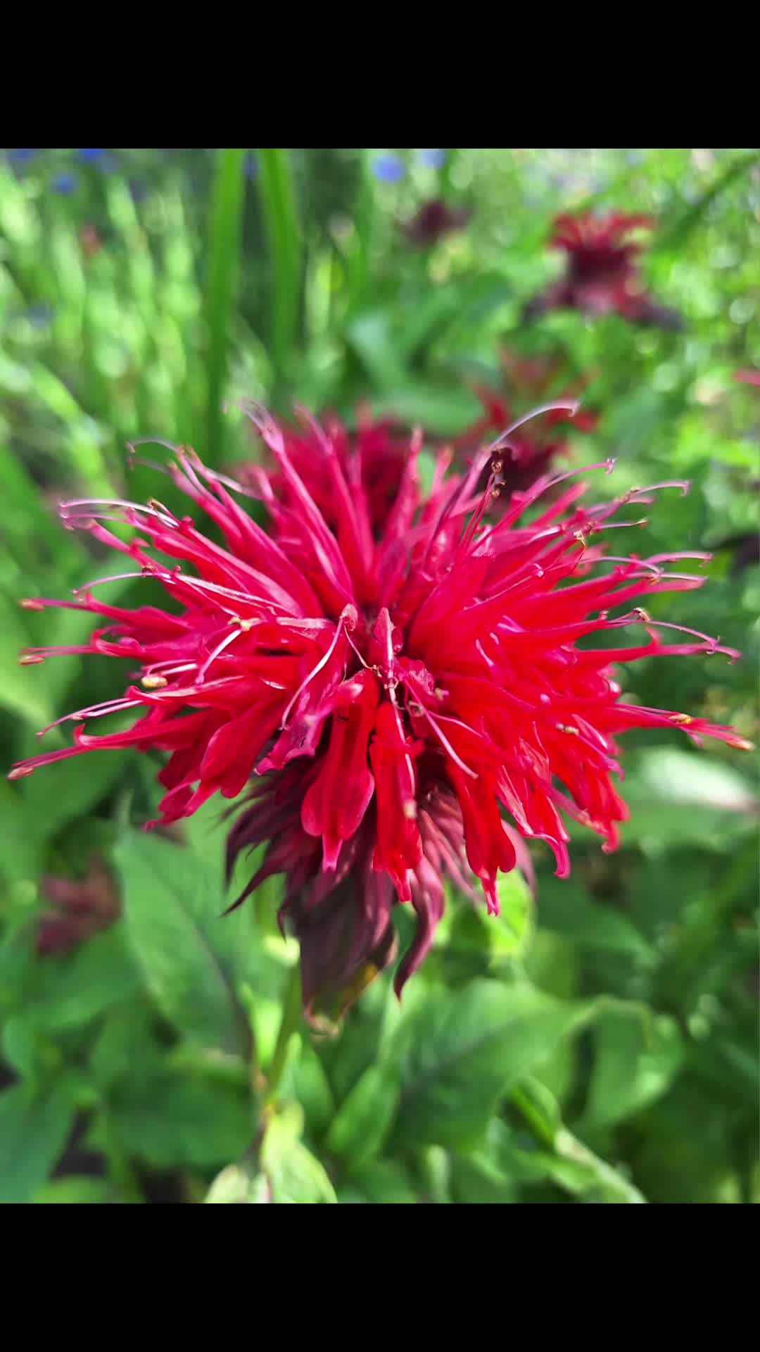 @Natur und Garten