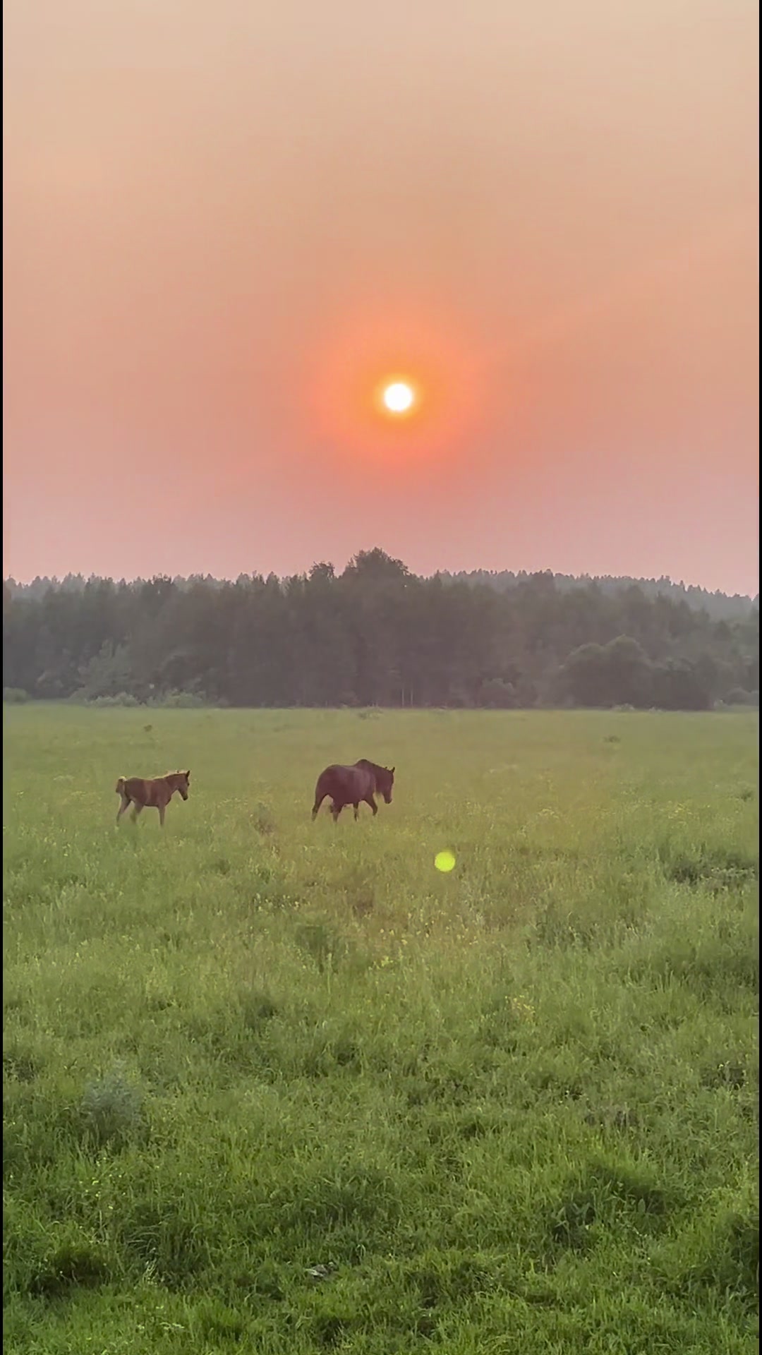 @рыжуля