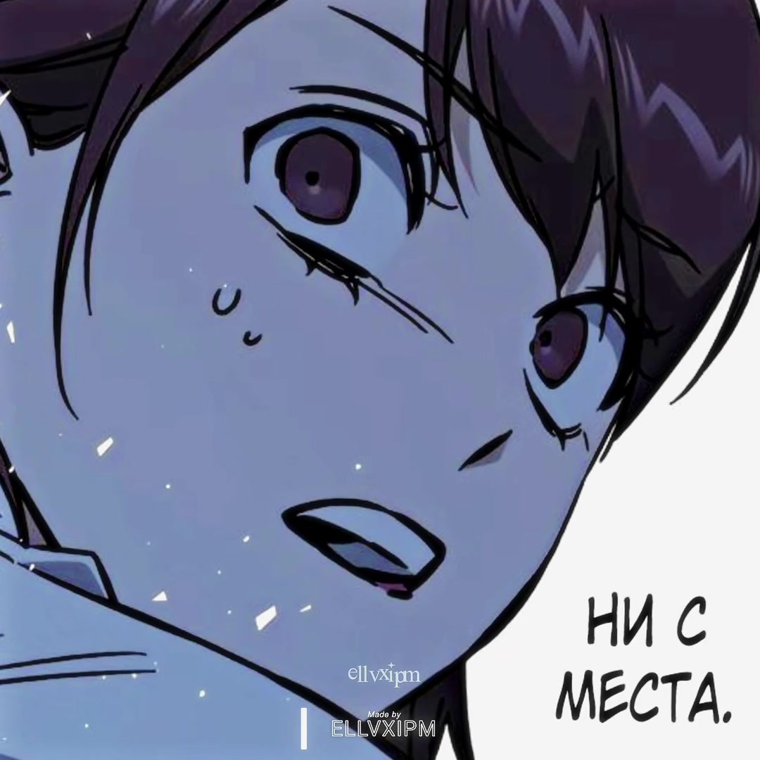 @ellvxipm ✭