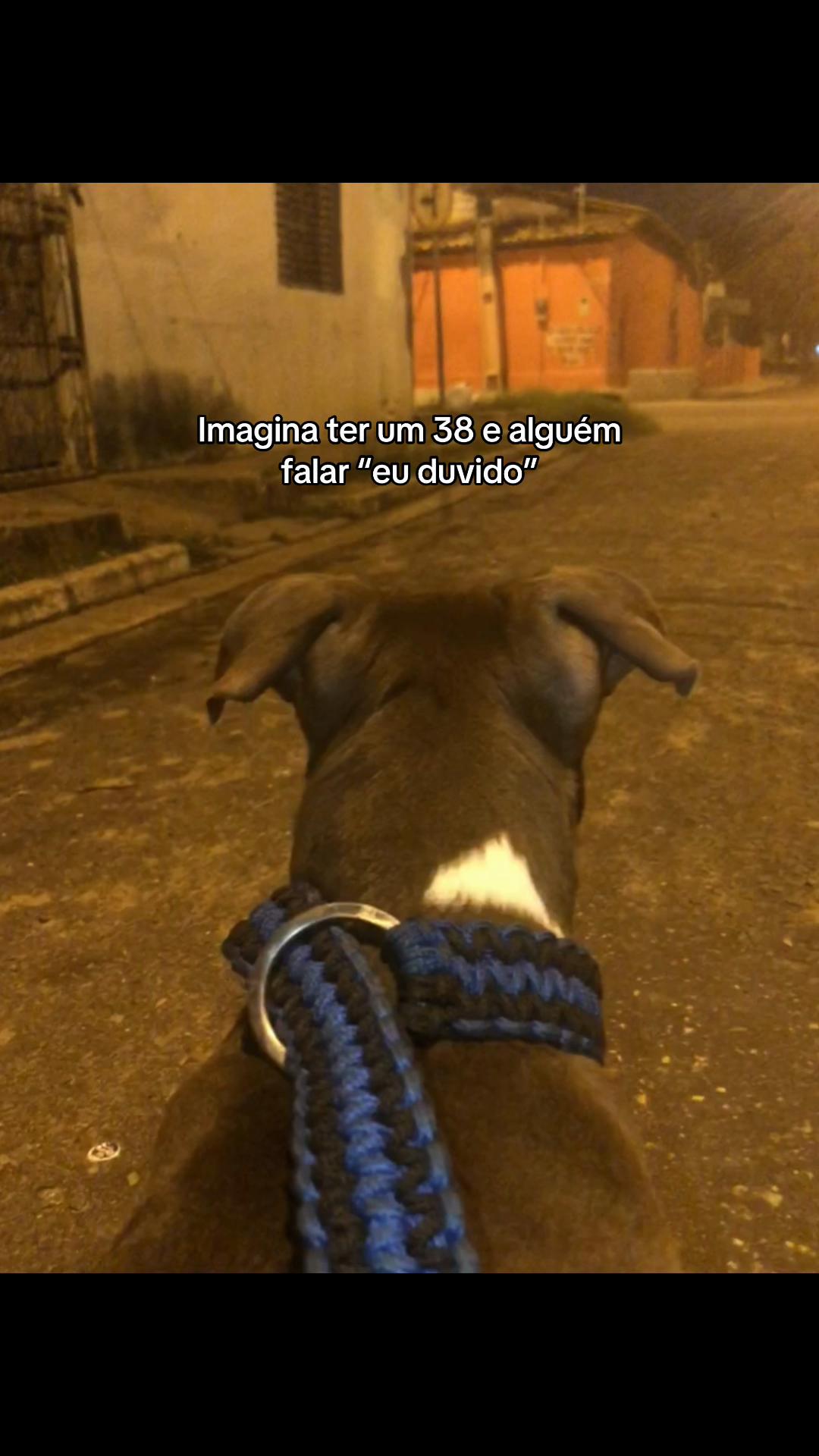 @Luis Felipe