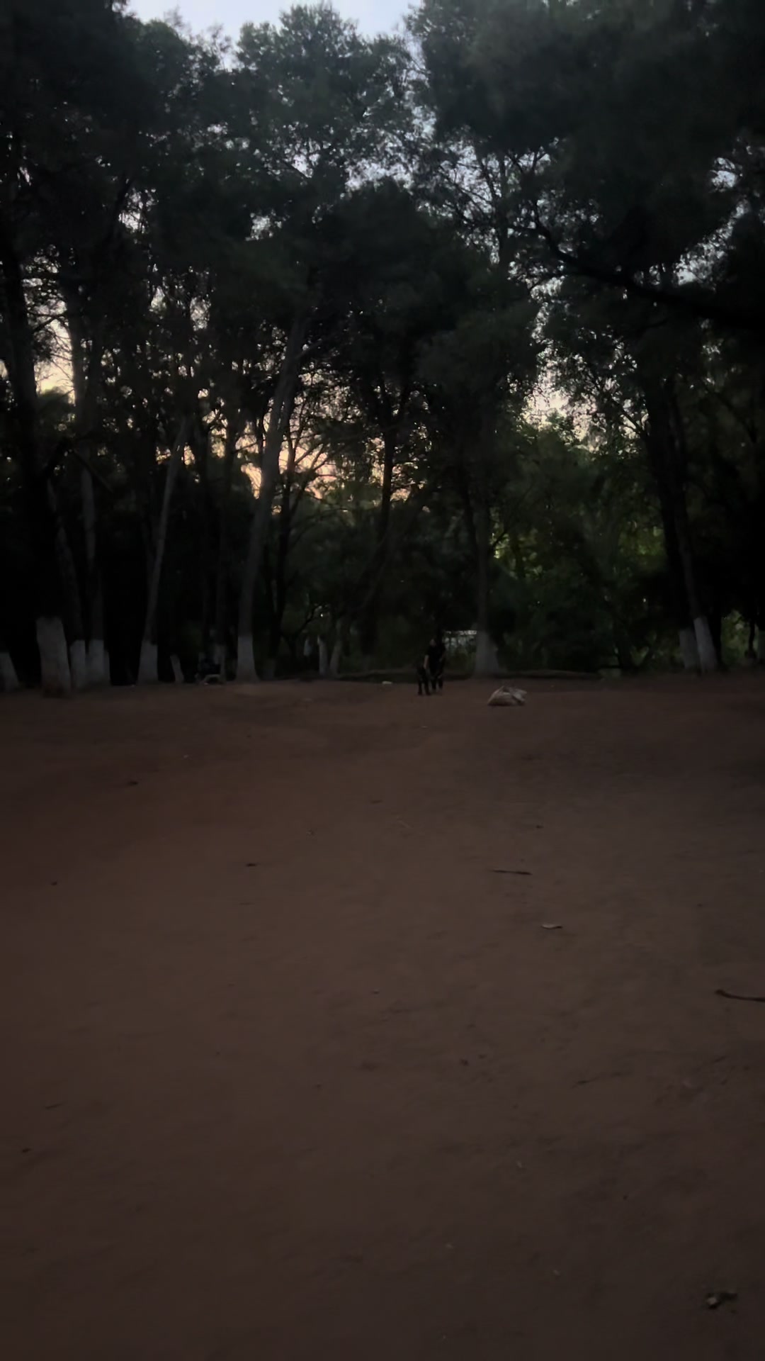 @الخلوية 🚩🥱🇩🇿