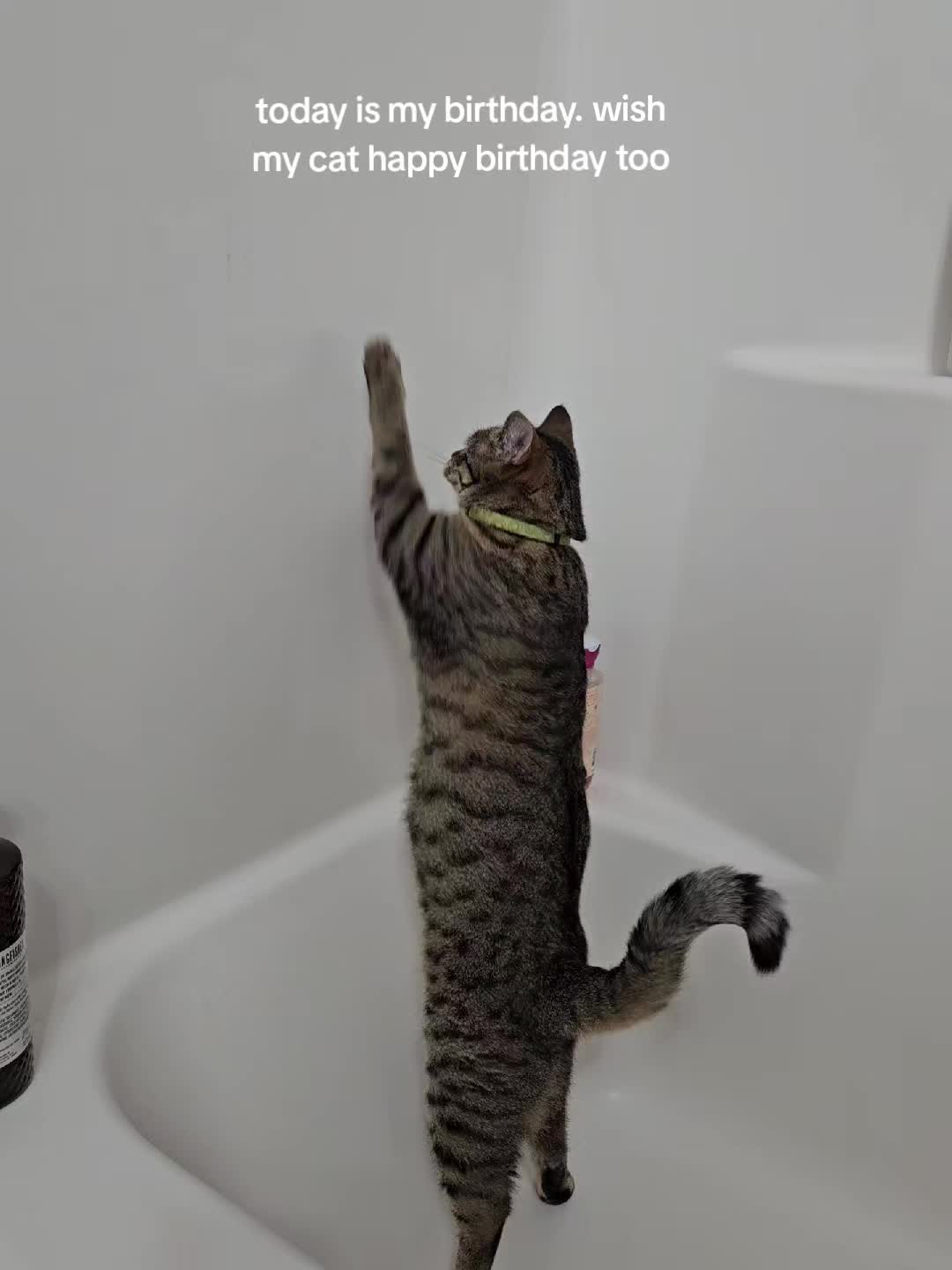 @Poopybutt