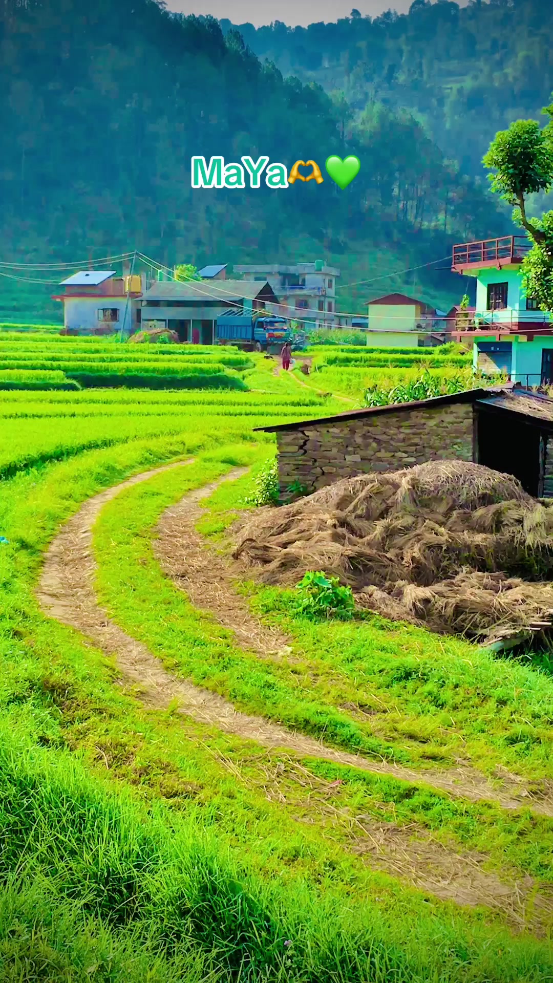 @Sindhupalchokeyतोपगोली🚀🫶🩵