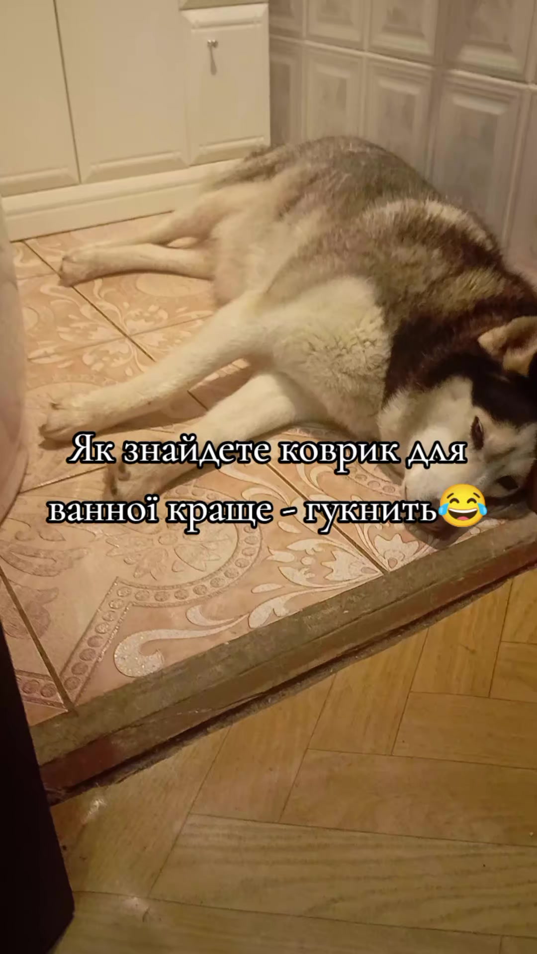 @Мать Стаффа