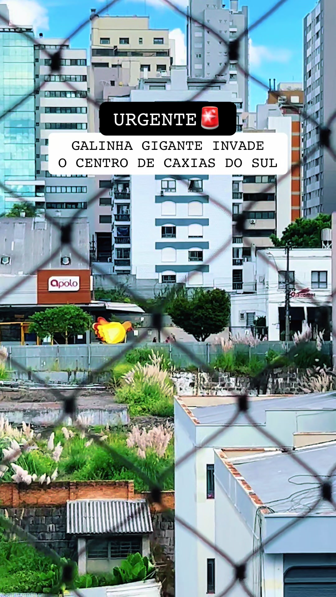 @Martina Fonseca