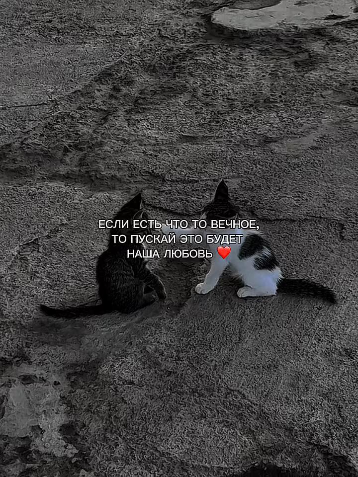 @ХХИКА
