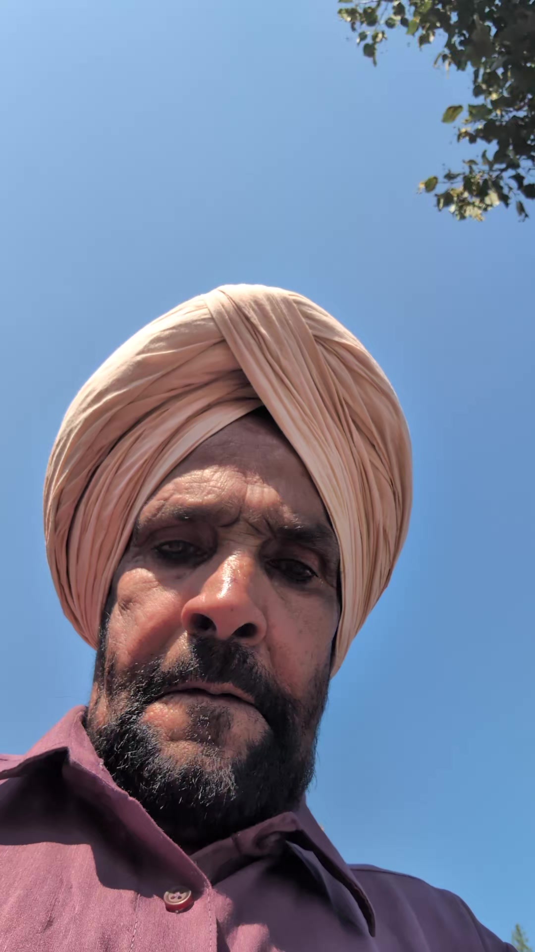 @Surjitlehal-61