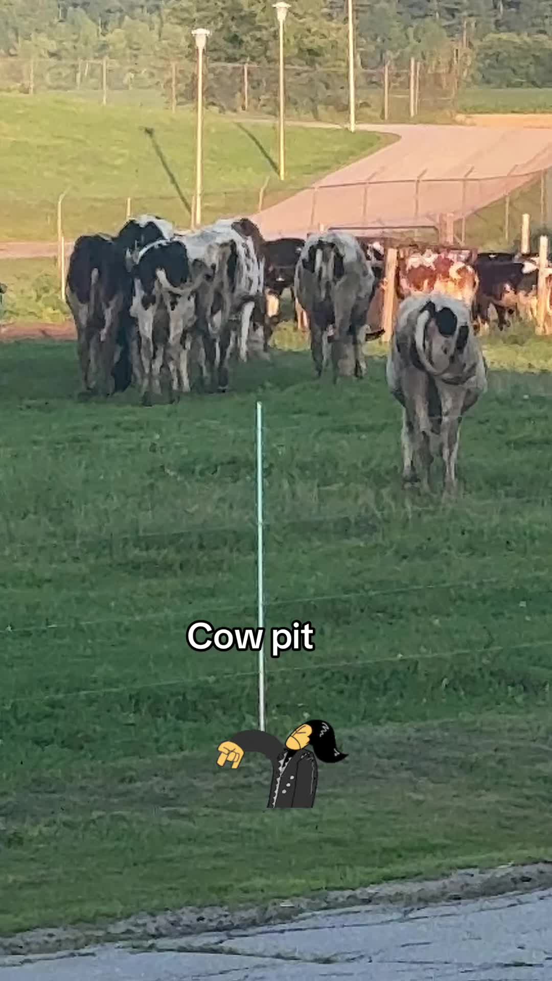 @ShitPostBritt🫠