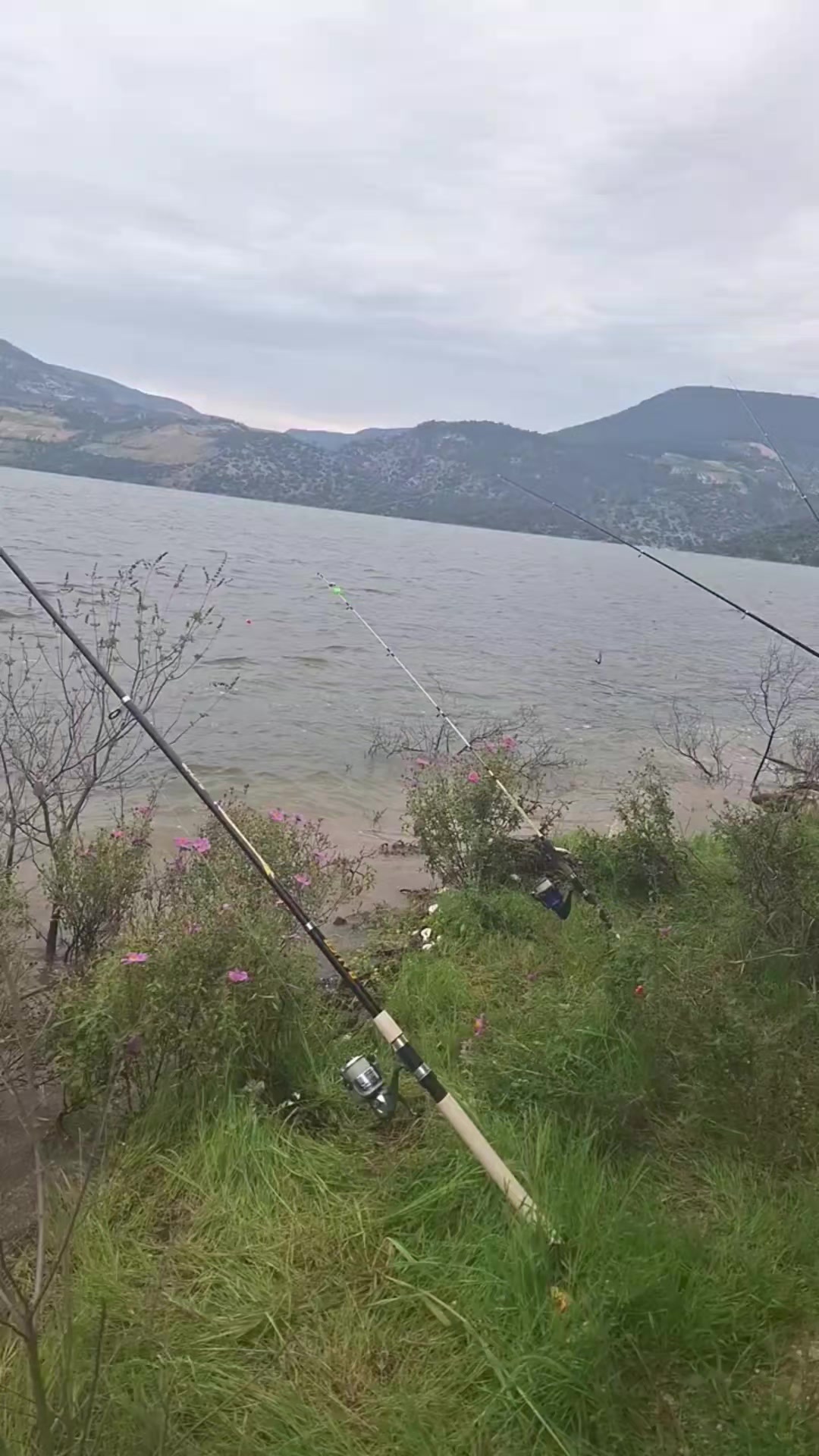 @Avcı Ali ilkan Değirmenci