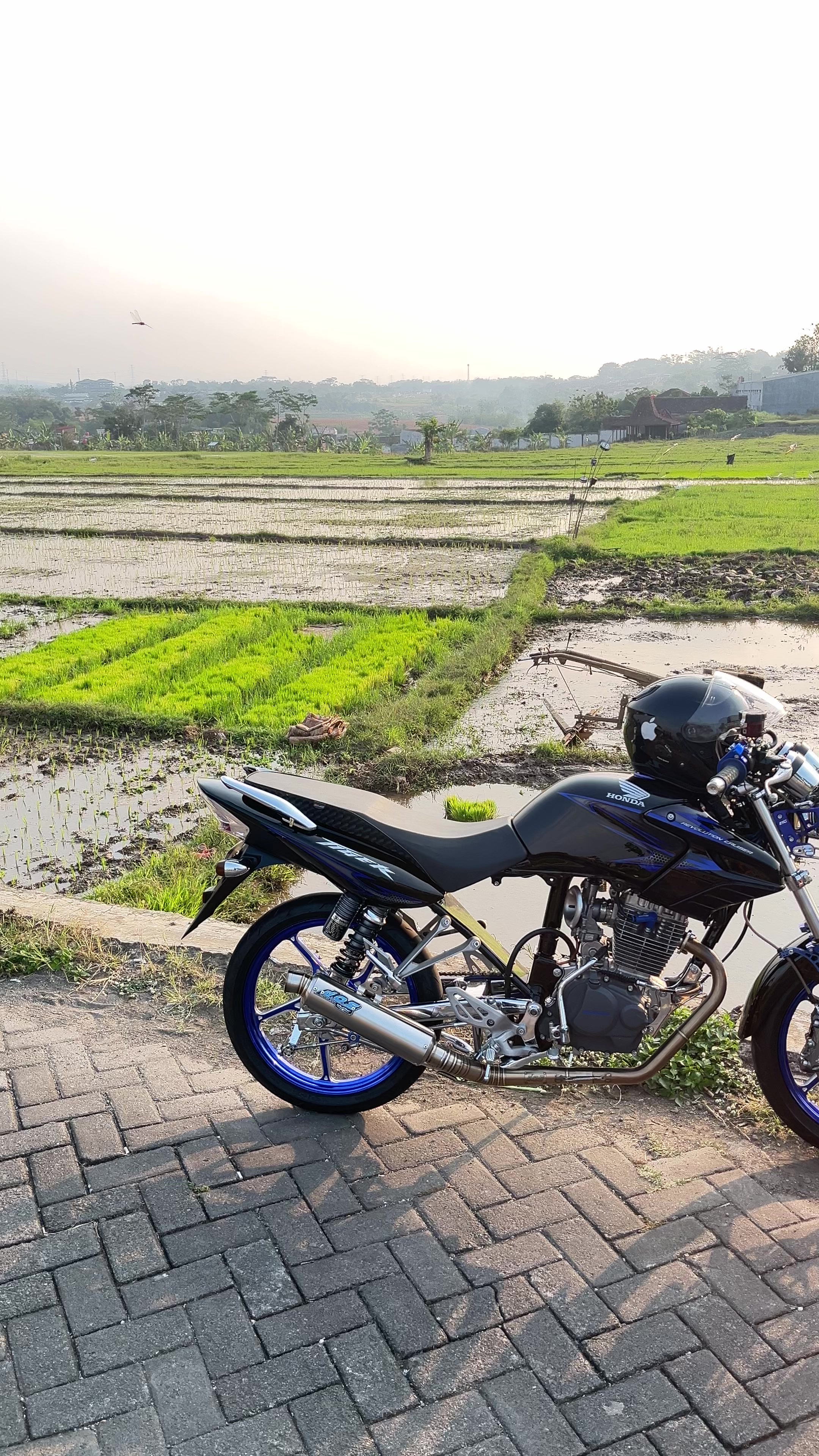 @Krisna Tidak Biru