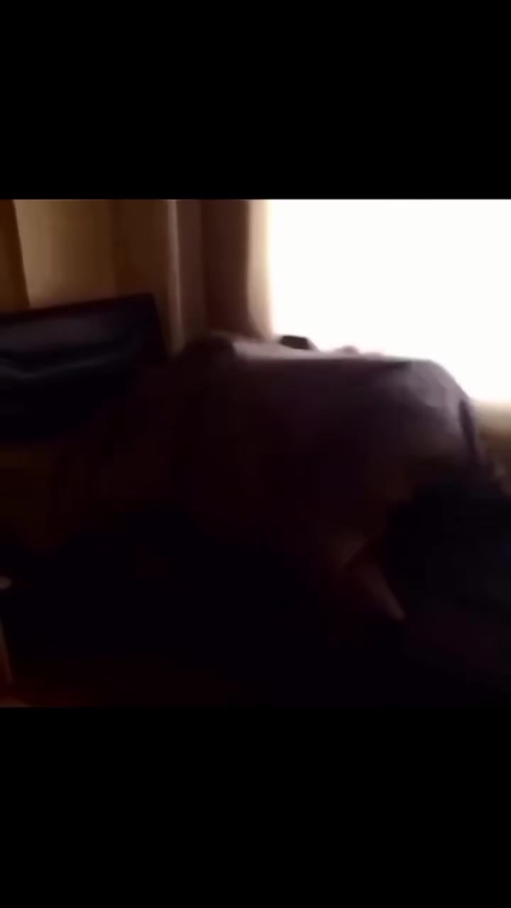 @丂卄卂ᗪㄖ山🇲🇫