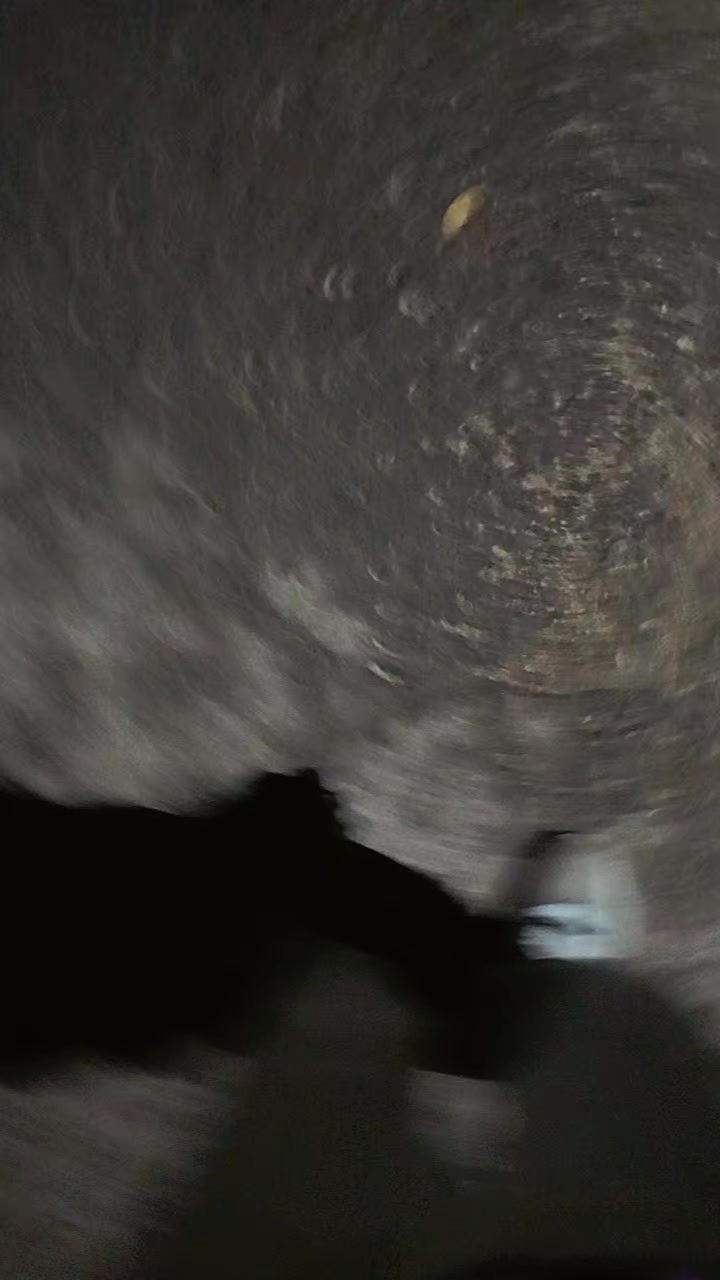 @32 ꜱᴀɴɪᴏᴋ ✵