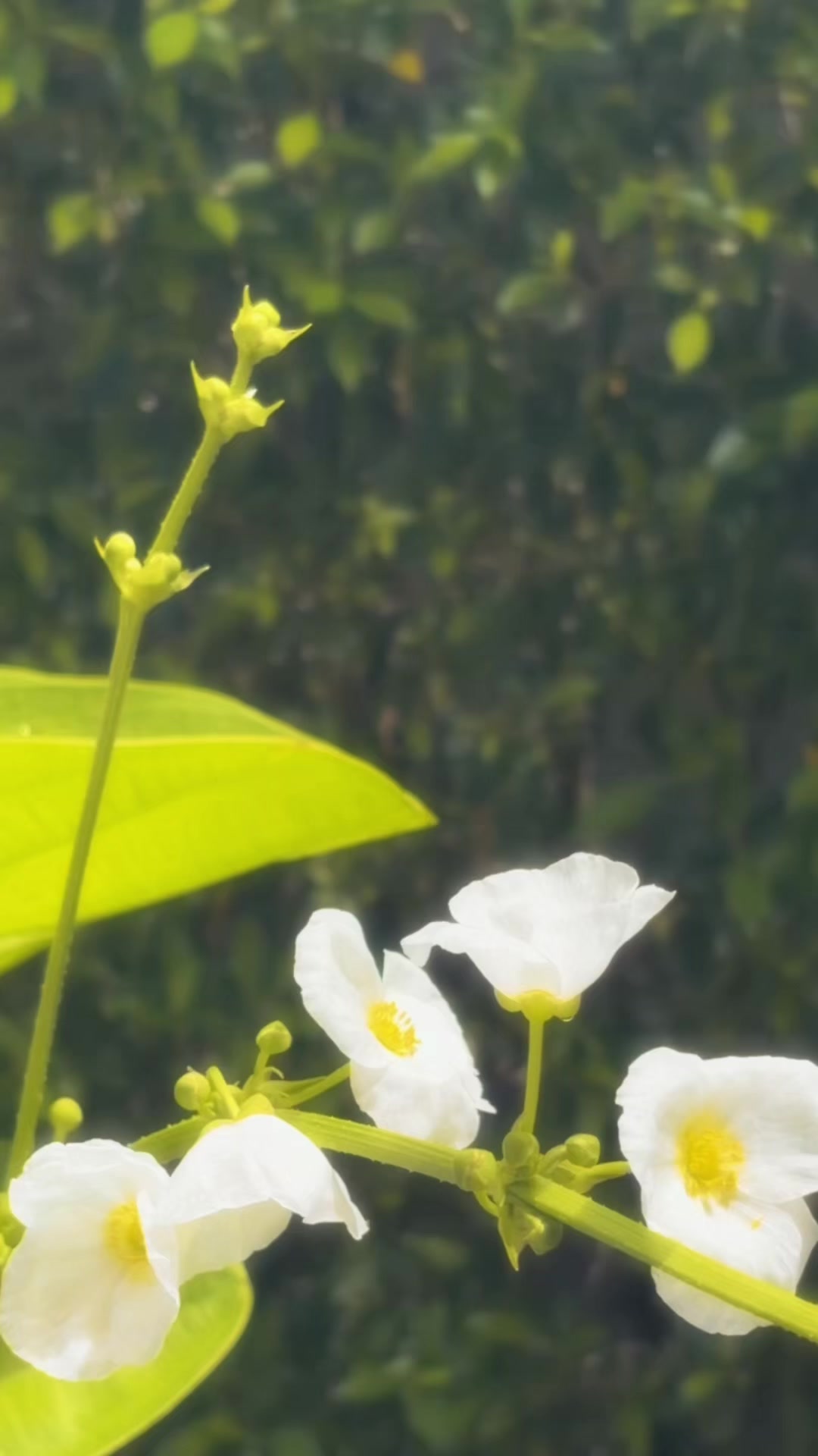 @𝑳𝒆𝒕𝒔𝒗𝒊𝒃𝒆