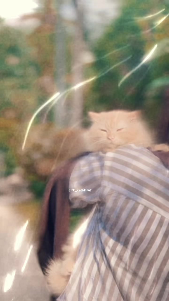 @> ๐
๐ซ