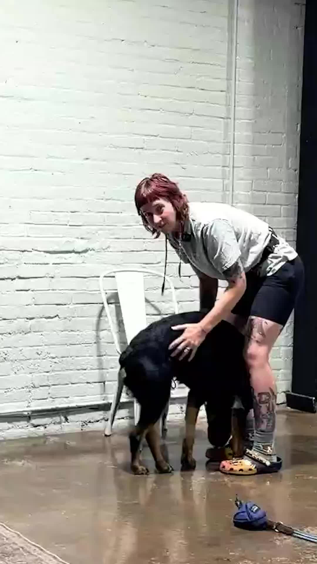 @Miracle K9 Training