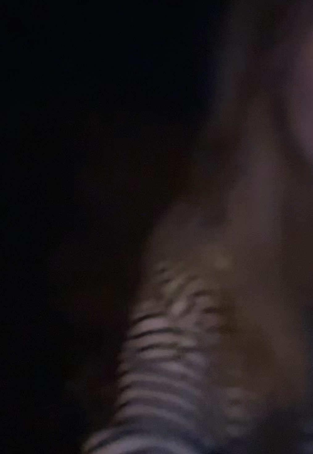 @davleixx